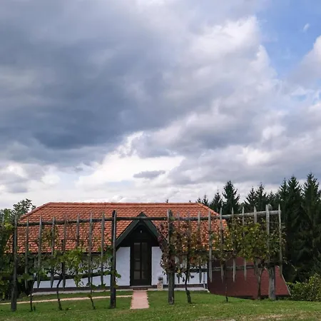 Hiska Brajda