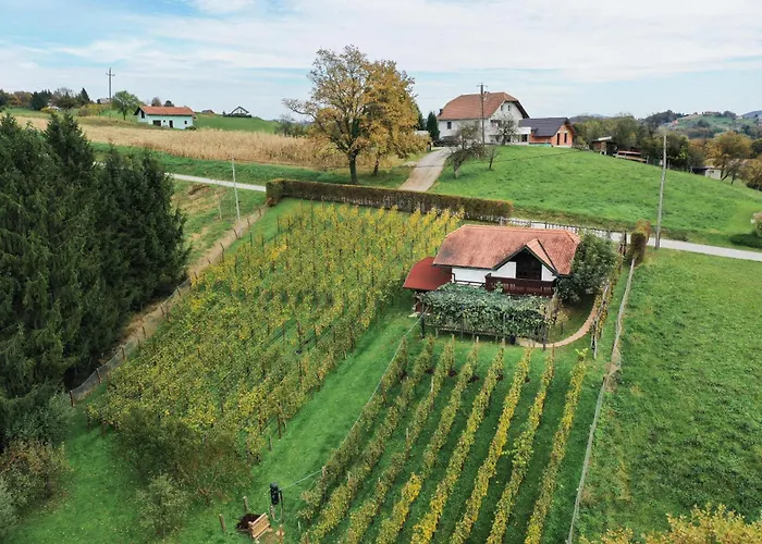 Hiska Brajda Rogaška Slatina